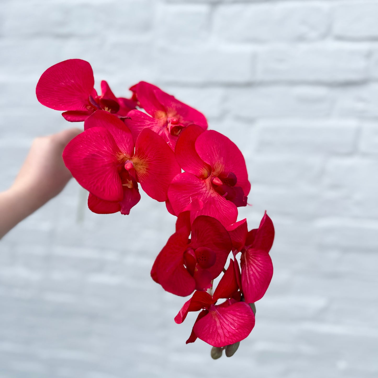 Faux Orchid Stem - Red