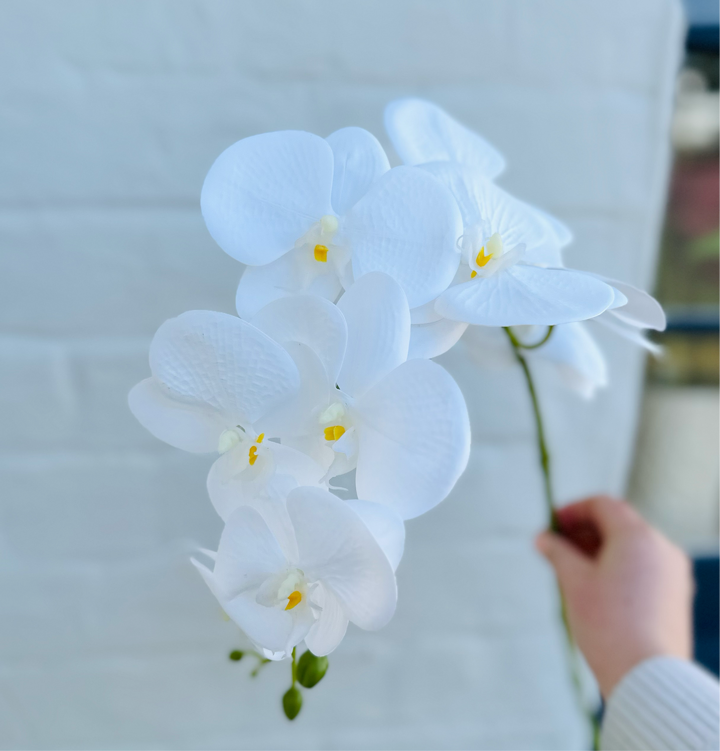 Faux Orchid Stem - White