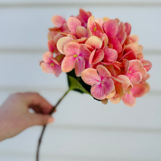 Small Faux Hydrangea Stem - Apricot