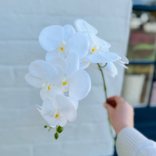 Faux Orchid Stem - White